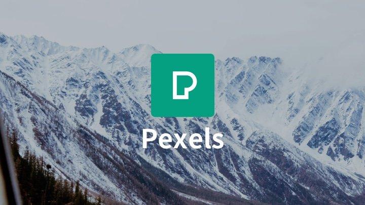 pexels手机版是干嘛的,pexels使用教程